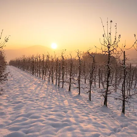 Owocowe Wzgorze Apartman