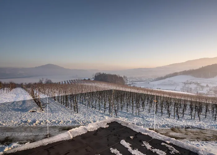 דירה Owocowe Wzgorze Tegoborze