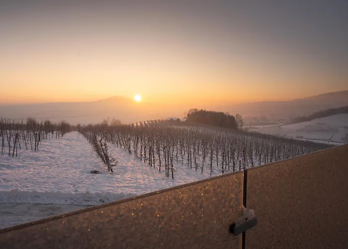 Owocowe Wzgorze Tegoborze