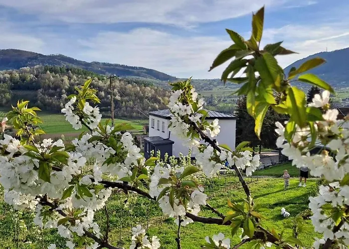 Owocowe Wzgorze * Tegoborze